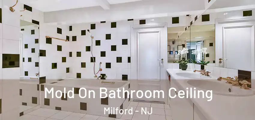 Mold On Bathroom Ceiling Milford - NJ