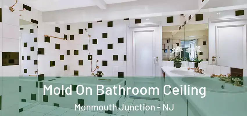  Mold On Bathroom Ceiling Monmouth Junction - NJ
