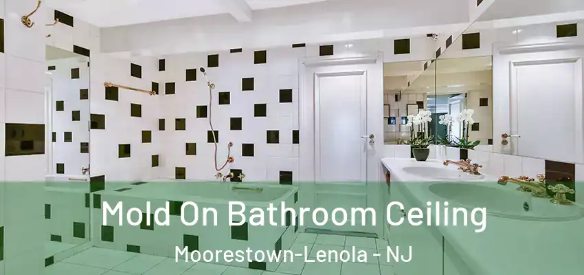 Mold On Bathroom Ceiling Moorestown-Lenola - NJ