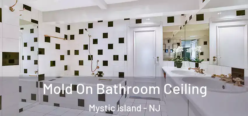 Mold On Bathroom Ceiling Mystic Island - NJ