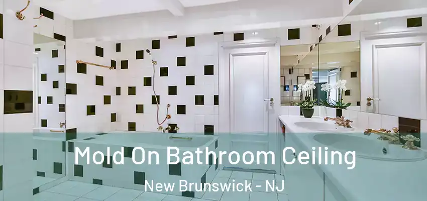  Mold On Bathroom Ceiling New Brunswick - NJ