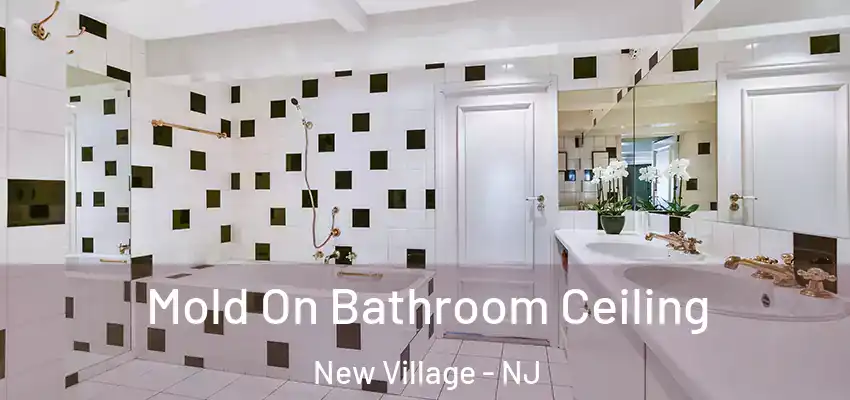 Mold On Bathroom Ceiling New Village - NJ