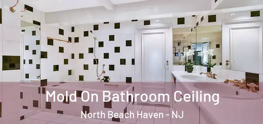 Mold On Bathroom Ceiling North Beach Haven - NJ