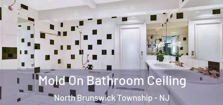 Mold On Bathroom Ceiling North Brunswick Township - NJ