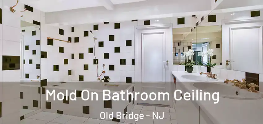  Mold On Bathroom Ceiling Old Bridge - NJ