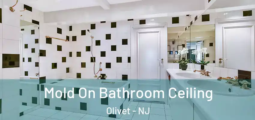Mold On Bathroom Ceiling Olivet - NJ