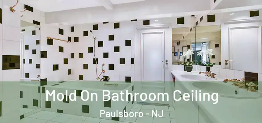 Mold On Bathroom Ceiling Paulsboro - NJ