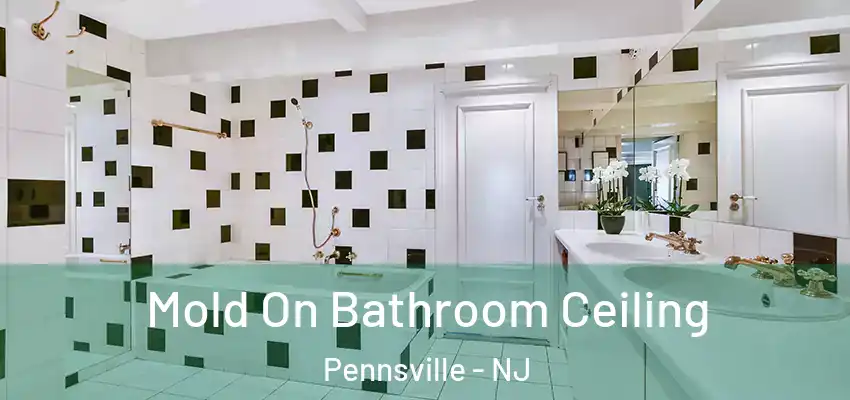  Mold On Bathroom Ceiling Pennsville - NJ