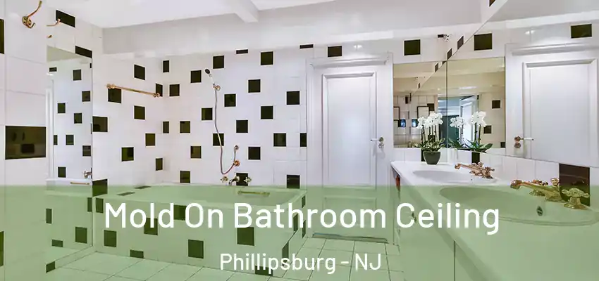 Mold On Bathroom Ceiling Phillipsburg - NJ
