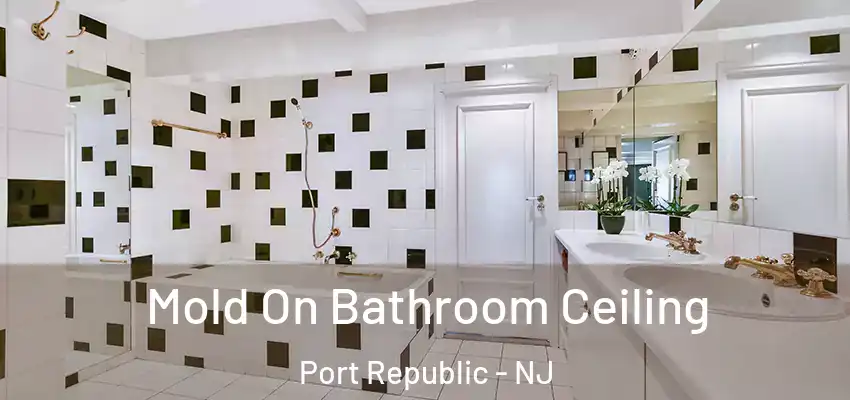  Mold On Bathroom Ceiling Port Republic - NJ