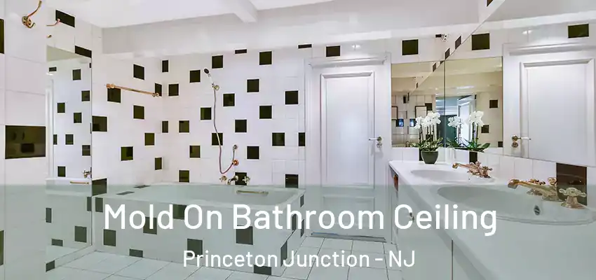  Mold On Bathroom Ceiling Princeton Junction - NJ