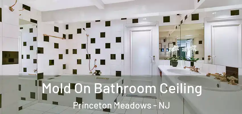 Mold On Bathroom Ceiling Princeton Meadows - NJ