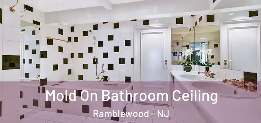 Mold On Bathroom Ceiling Ramblewood - NJ