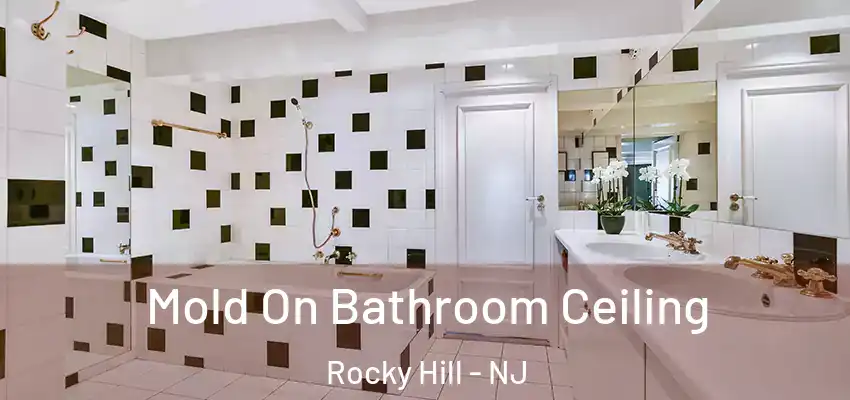 Mold On Bathroom Ceiling Rocky Hill - NJ