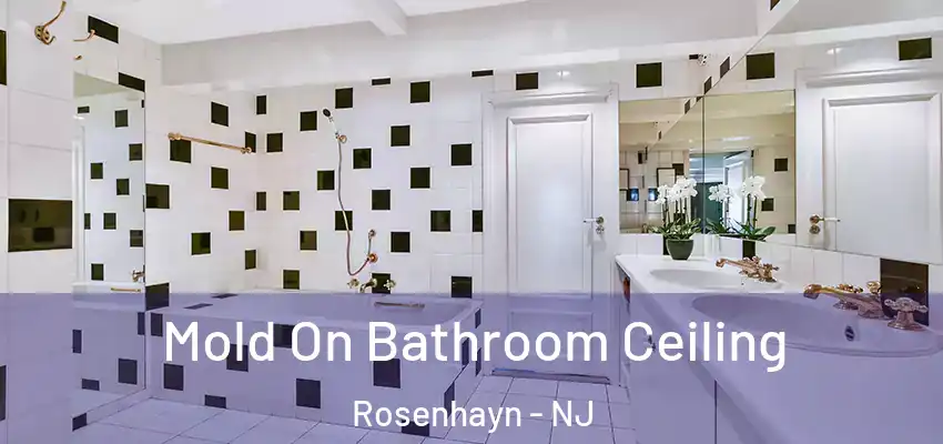 Mold On Bathroom Ceiling Rosenhayn - NJ