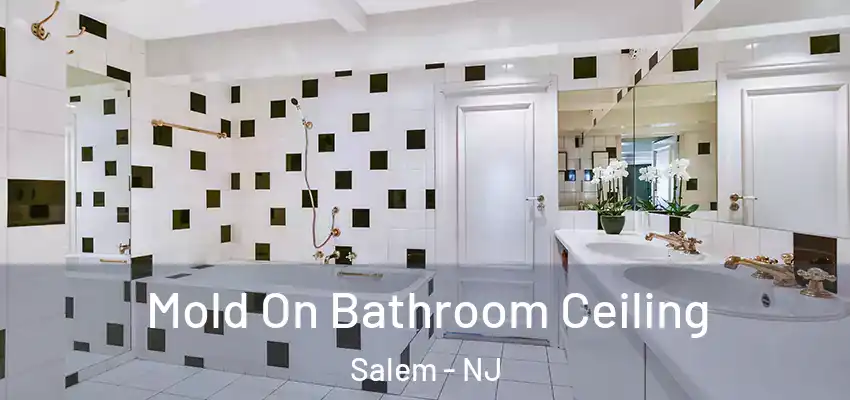  Mold On Bathroom Ceiling Salem - NJ