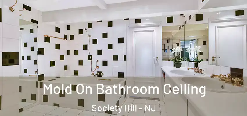 Mold On Bathroom Ceiling Society Hill - NJ