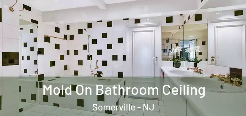  Mold On Bathroom Ceiling Somerville - NJ