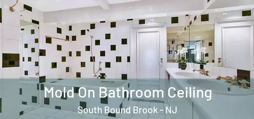  Mold On Bathroom Ceiling South Bound Brook - NJ