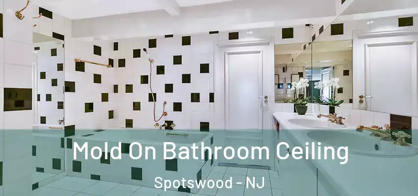  Mold On Bathroom Ceiling Spotswood - NJ