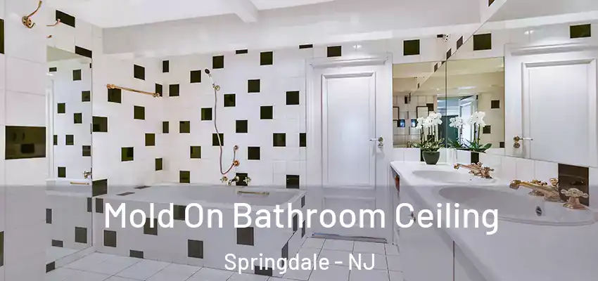 Mold On Bathroom Ceiling Springdale - NJ