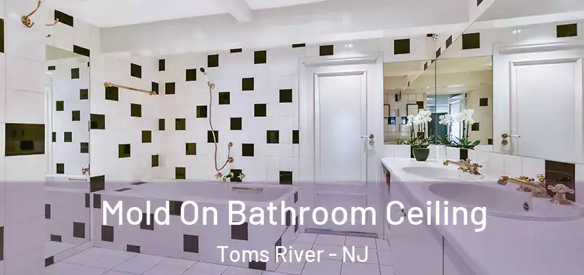 Mold On Bathroom Ceiling Toms River - NJ