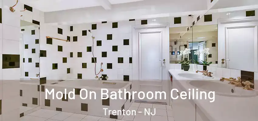  Mold On Bathroom Ceiling Trenton - NJ