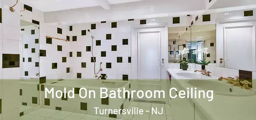 Mold On Bathroom Ceiling Turnersville - NJ