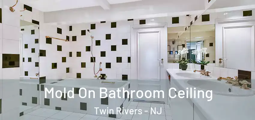 Mold On Bathroom Ceiling Twin Rivers - NJ