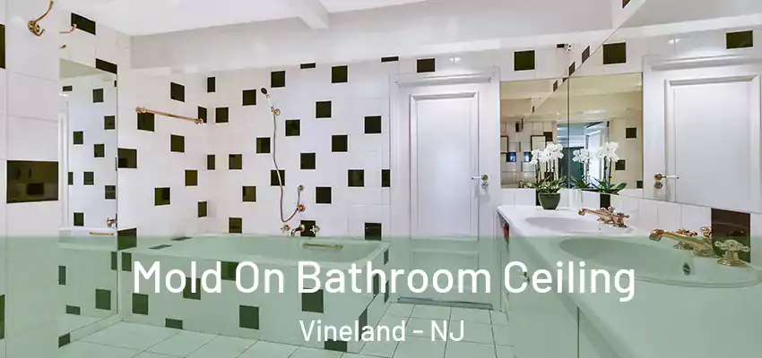 Mold On Bathroom Ceiling Vineland - NJ