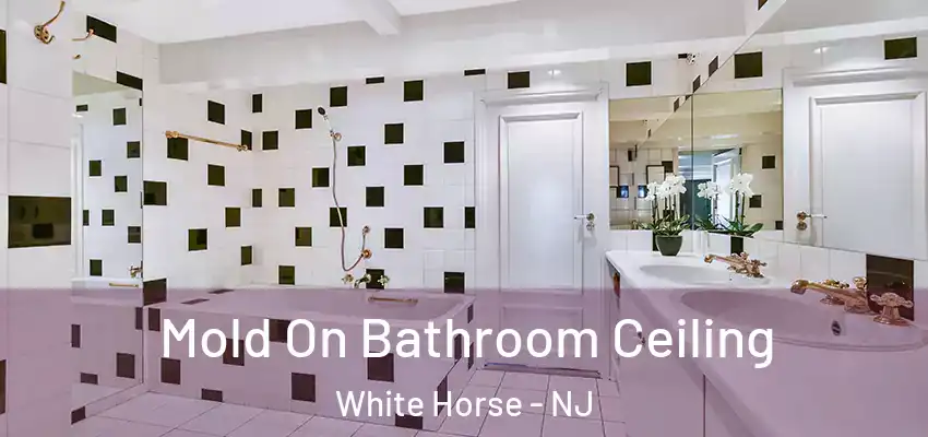  Mold On Bathroom Ceiling White Horse - NJ