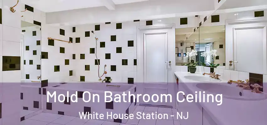  Mold On Bathroom Ceiling White House Station - NJ