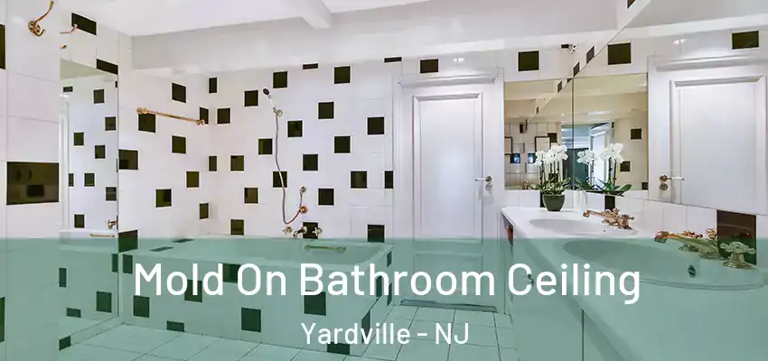 Mold On Bathroom Ceiling Yardville - NJ