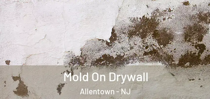 Mold On Drywall Allentown - NJ
