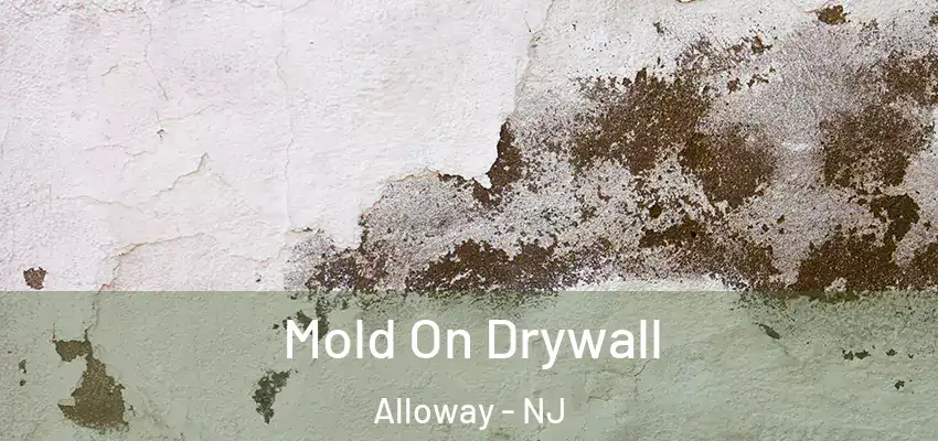  Mold On Drywall Alloway - NJ