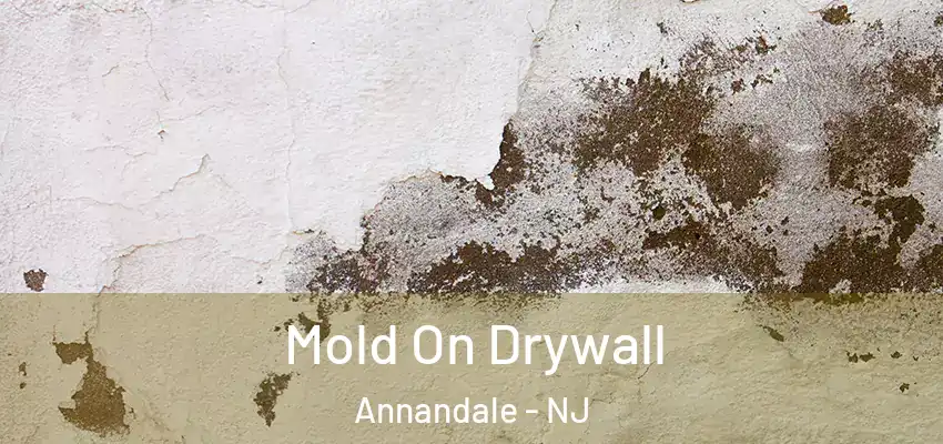 Mold On Drywall Annandale - NJ