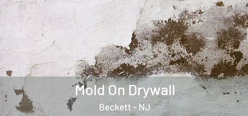 Mold On Drywall Beckett - NJ