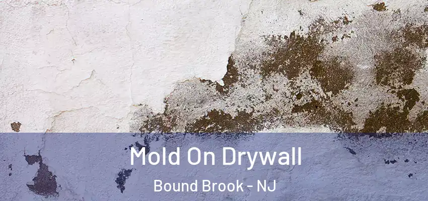  Mold On Drywall Bound Brook - NJ