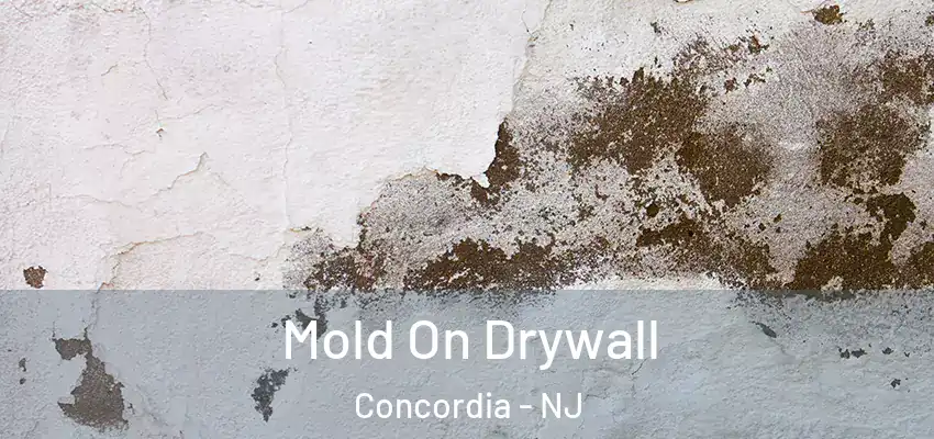  Mold On Drywall Concordia - NJ
