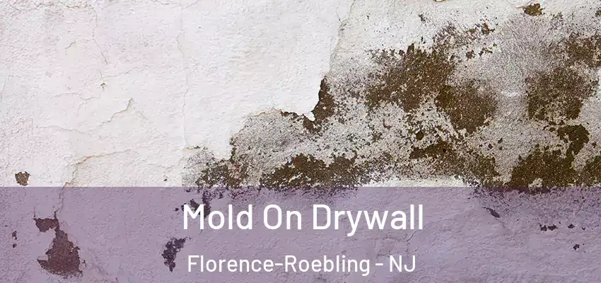 Mold On Drywall Florence-Roebling - NJ