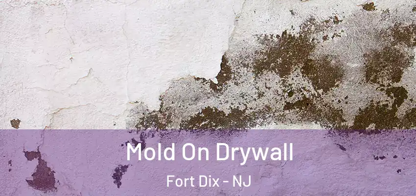 Mold On Drywall Fort Dix - NJ