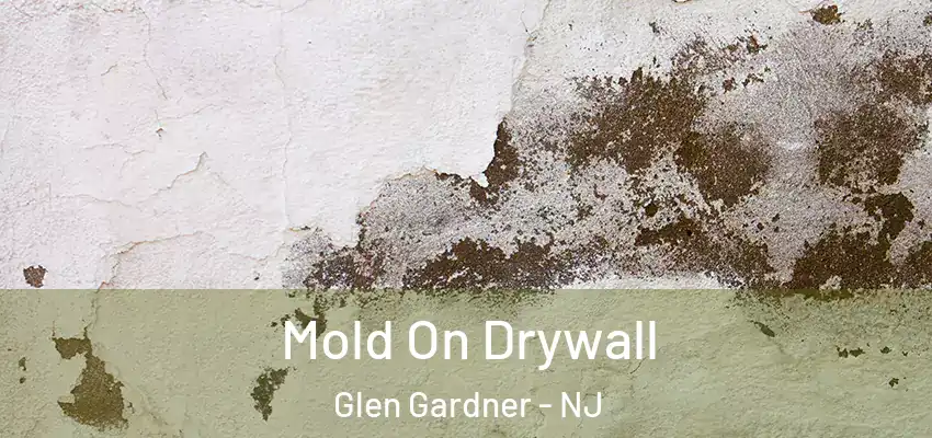 Mold On Drywall Glen Gardner - NJ