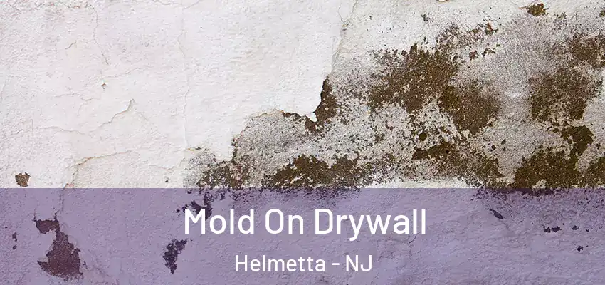  Mold On Drywall Helmetta - NJ
