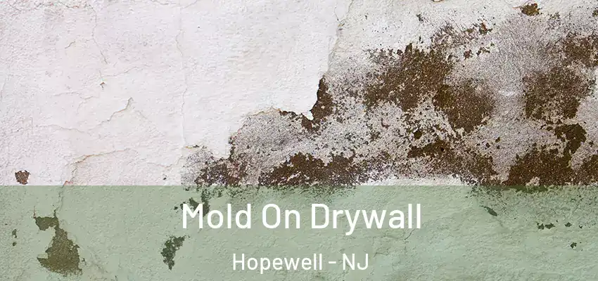  Mold On Drywall Hopewell - NJ