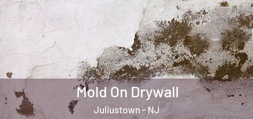 Mold On Drywall Juliustown - NJ