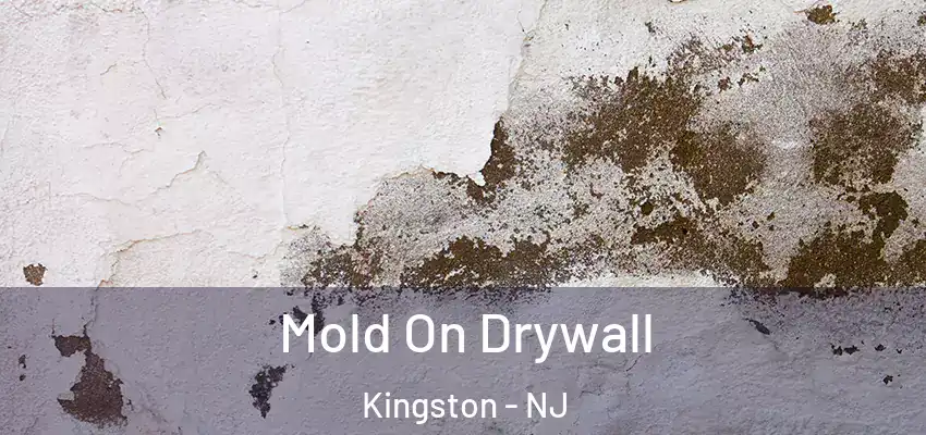  Mold On Drywall Kingston - NJ