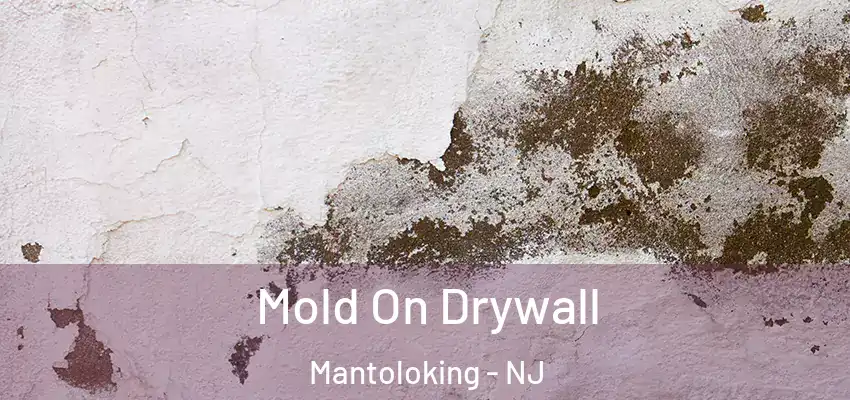 Mold On Drywall Mantoloking - NJ