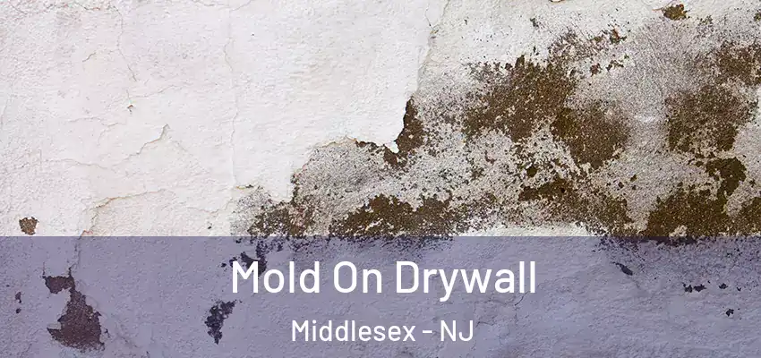  Mold On Drywall Middlesex - NJ