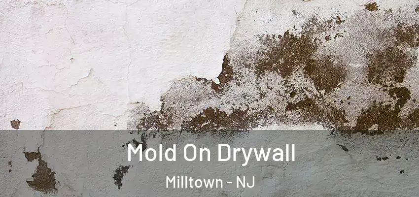  Mold On Drywall Milltown - NJ