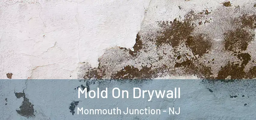  Mold On Drywall Monmouth Junction - NJ